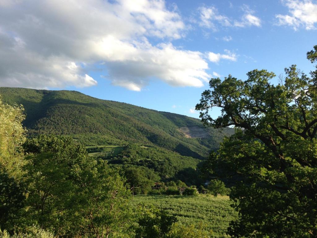 Agriturismo Nizzi Villa Assisi Luaran gambar